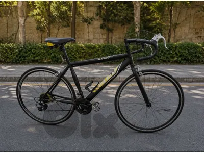 Spot Road Bike – Size 56