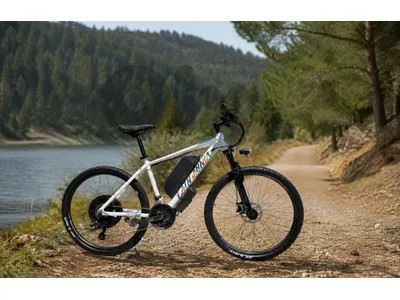 Powerful Mountain E-Bike in excellent condition — barely used, battery still performs like new.