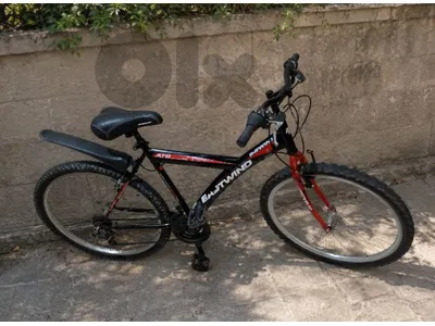 European 26” Mountain Bike