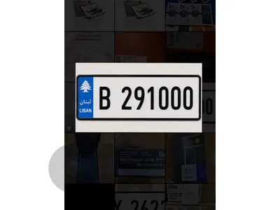 Number Plate special for sale 291000/B