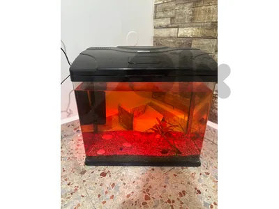80L Fish Aquarium