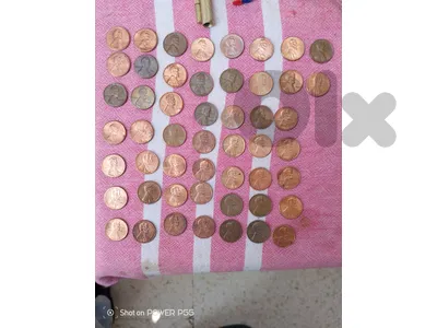 زلقا المتن