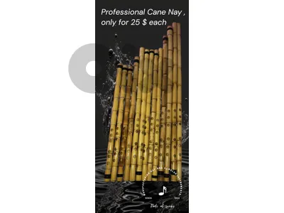 Professional  plastic Pvc Nayناي احترافي