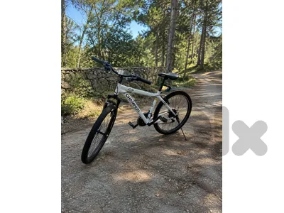 Chevrolet Bicycle – Excellent Condition