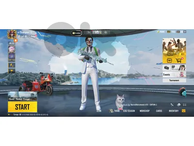 pubg account for sale