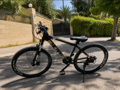 Original Hiland mountain bike