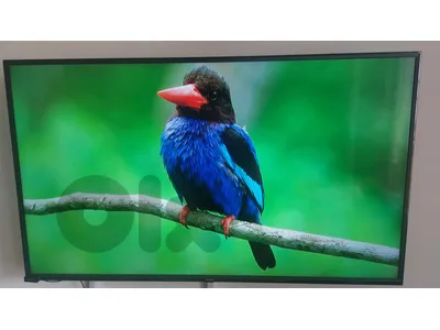National Pro tv 60 inch smart