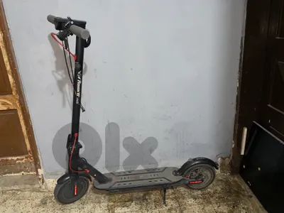 +96181018487