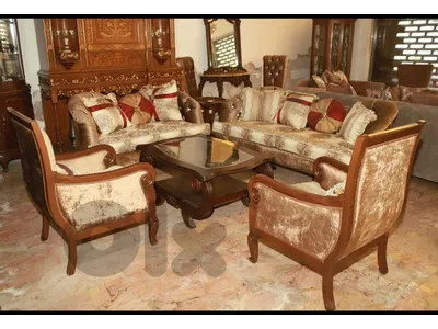 صالون او غرفة جلوس living room or salon