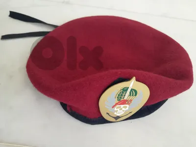 بيريه الصدم