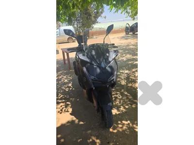 البقاع