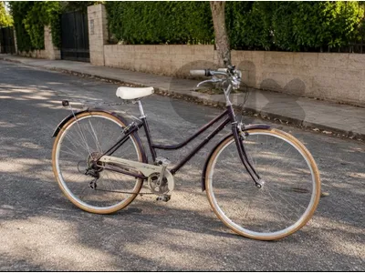 Schwinn 🇺🇸 7-Speed Hybrid Bike – One of a Kind!