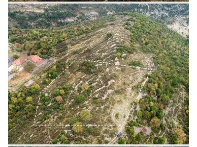 Land for Sale in Lehfed