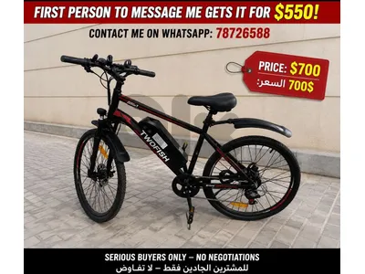 TWOFISH TF-1 Electric Bicycle (E-Bike) – Powerful, reliable, and ready to ride.