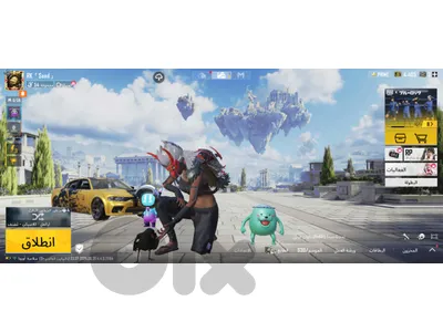حساب ببجي لفل 73 فيه كونكر و17 سلاح بيطور / pubg