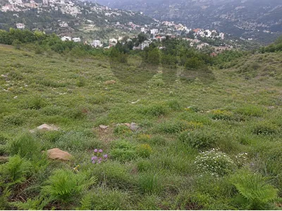 5286m2 Land for sale in wata el jaouz