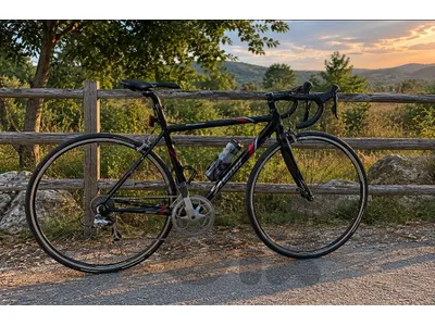 🚴 2 Danger Road Bike (German Brand)