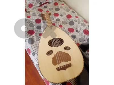 Oud with grey leather bag.  عود مع شنطة جلد