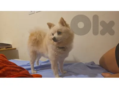 3 years old