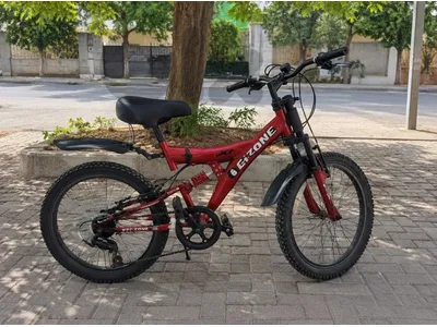 20" Bicycle