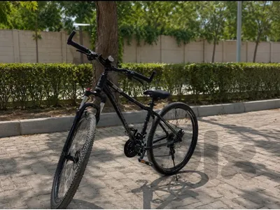 Mountain Bicycle for Sale