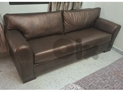 Sofa Couch