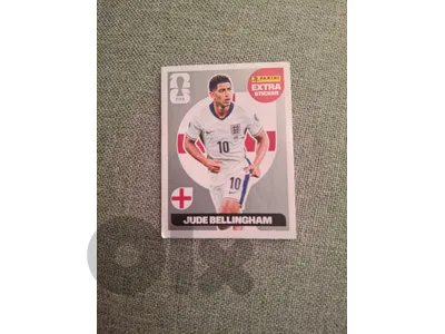 panini world cup sticker
