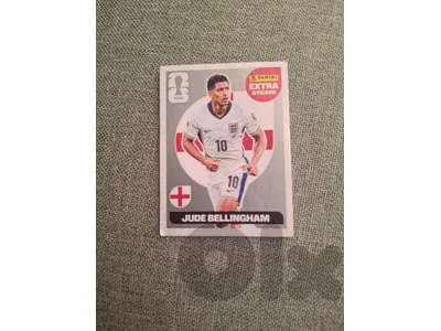 panini world cup sticker