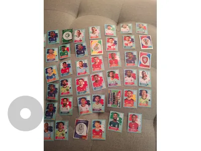 panini world cup sticker
