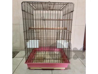 Bird Cage / Night Cage (45x68)