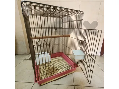Bird Cage / Night Cage