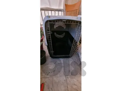 dog crate / House