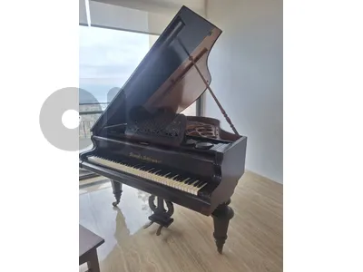 piano baby grand by Vienna tuning warranty