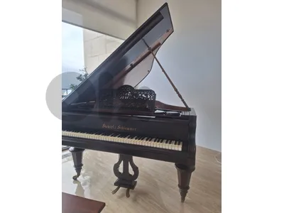 piano baby grand by Vienna tuning warranty