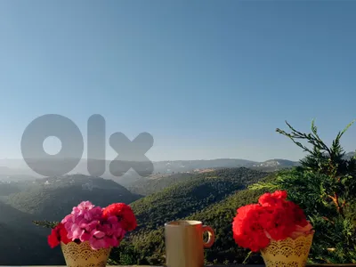 valleyvista guesthouse