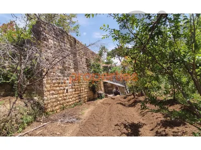 Land for Rent in Chouf - Serjbel – CPSM512