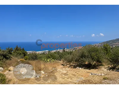 Land For Sale In Halat أرض للبيع في حالات CPJGK33