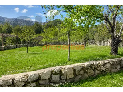 Land For Sale In Chahtoul – CPJGK38
