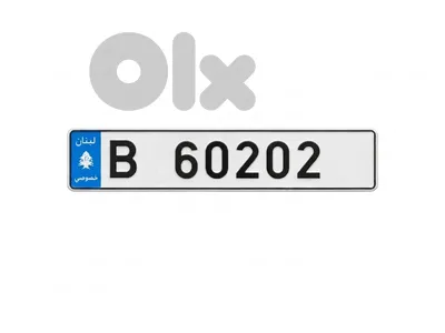 B  6 0 2 0 2