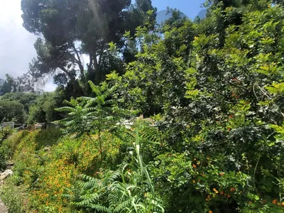L21427 - 2,630 Sqm Land For Rent in Sarba