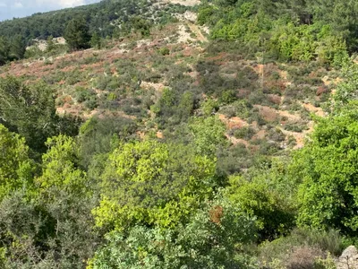 sea and mountain view, great deal, becharre, Barhalioun/برحليون REF#YT136952