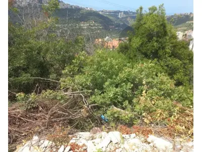 Land for Sale in Monteverde - Beit Merry