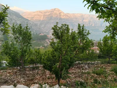 GMB329SZ -  Land For Sale In Laklouk  - أرض للبيع في اللقلوق
