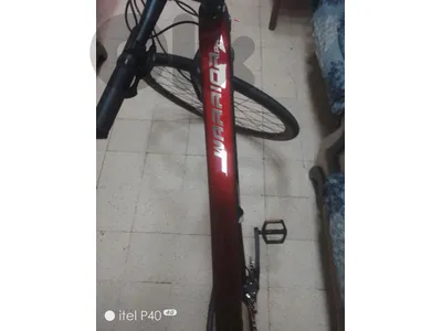 twitter mountain bike 29 large