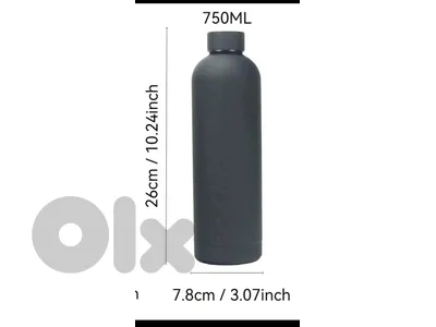 stainless steel bottle