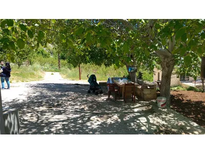 For sale Stand alone House & Land in Tannourine Harisa