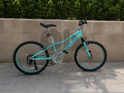 Kids Bicycle – Excellent Condition