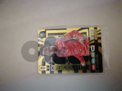 panini card