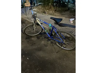 Giant bike