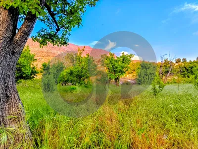 أرض / LAND / EHDEN/إهدن /ZONING : 25/50/ مناسب لبناء فيلا أو مشروع سكني/ REF#TN136993 ! أرض / LAND / EHDEN/إهدن /ZONING : 25/50/ مناسب لبناء فيلا أو مشروع سكني/ REF#TN136993 !
